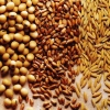 Cereals