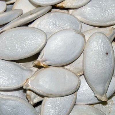 Pumpkin seeds