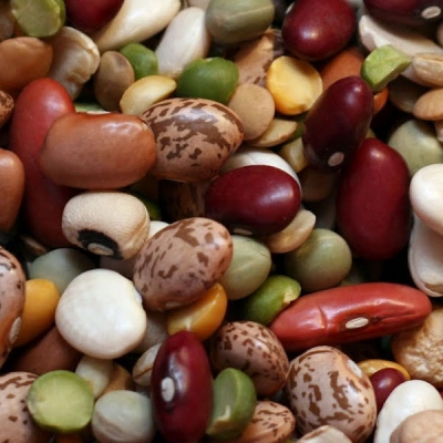 Beans From Producer